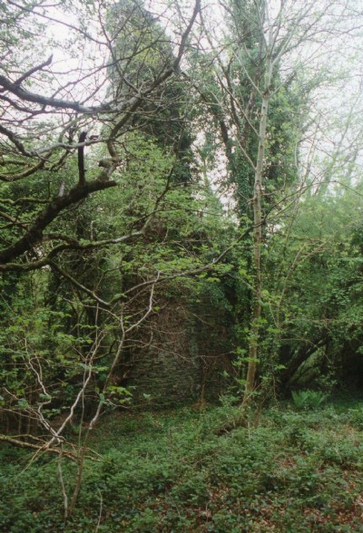 Photographs Of Ludcott & Wrey Utd.