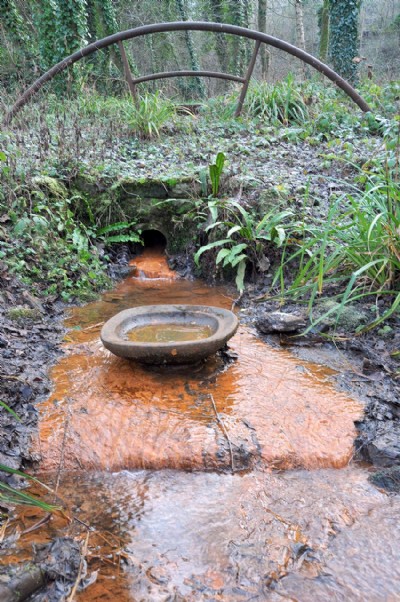 Photographs Of Ladywood Sough