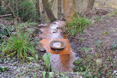 Photographs Of Ladywood Sough