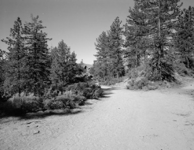 Historic Photographs Of Lake Tahoe Narrow Gauge