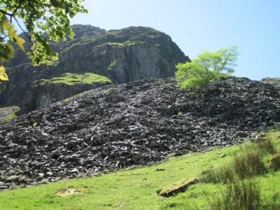 Photographs Of Lambfold