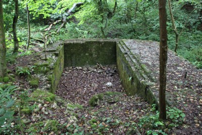 Photographs Of Lan Colliery