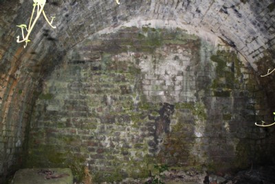 Bricked-up drift portal, 2010