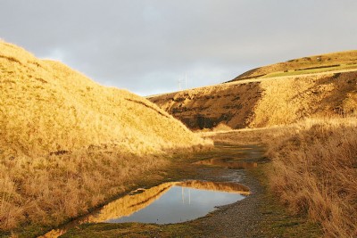 Lanehead