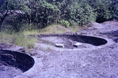 Langley Barony (1990ish)