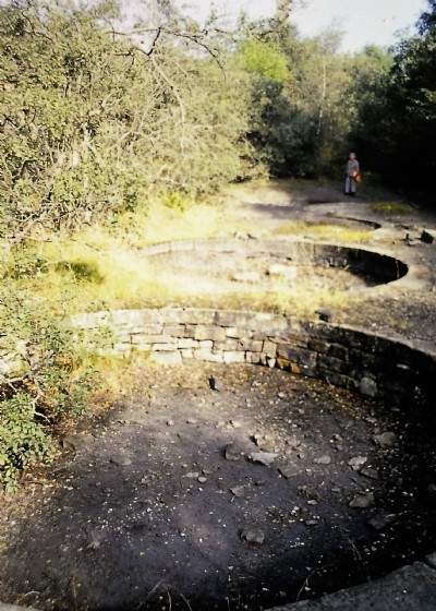 Langley Barony (1990ish)