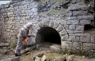 Historic Photographs Of Langley Barony