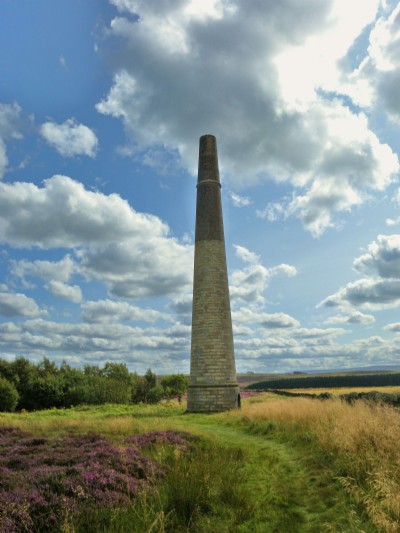 Photographs Of Langley