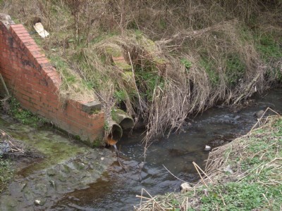Photographs Of Langley Sough