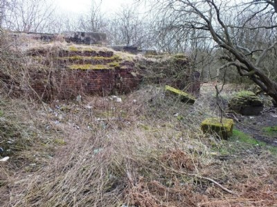 Langtree Pit Visit