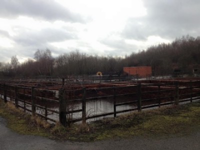 Settling Tanks