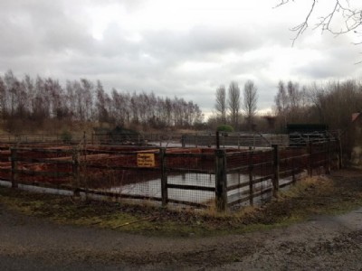 Settling Tanks