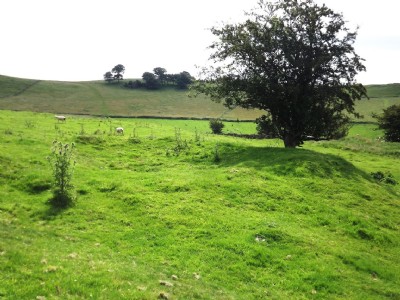 Photographs Of Larks Venture
