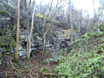 Photographs Of Lathkill Dale Black Marble