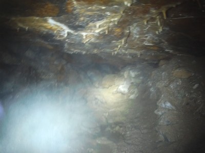 Photographs Of Lease Rigg