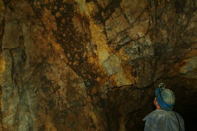 Vein V18