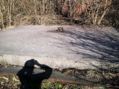 Photographs Of Lepton Edge