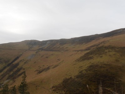 Lefel Newydd