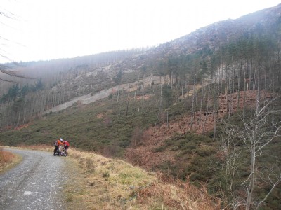 Photographs Of Level Newydd