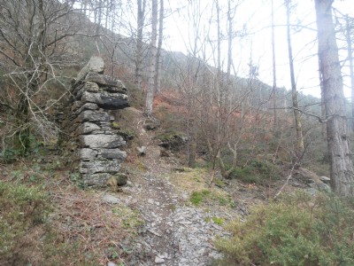 Lefel Newydd