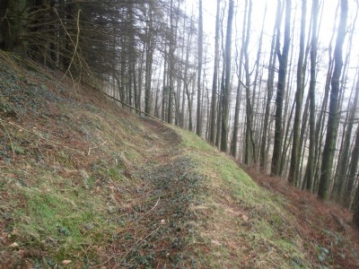 Lefel Newydd