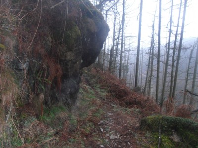 Lefel Newydd