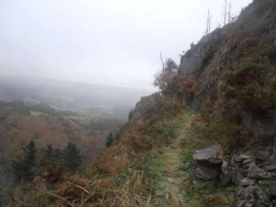 Lefel Newydd
