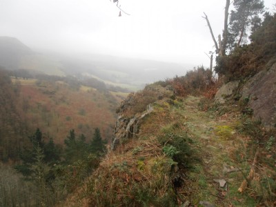 Lefel Newydd