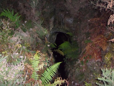 Photographs Of Level Newydd (Photo ref 92013)