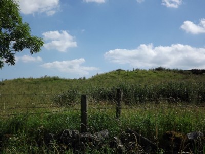 Photographs Of Lickpenny