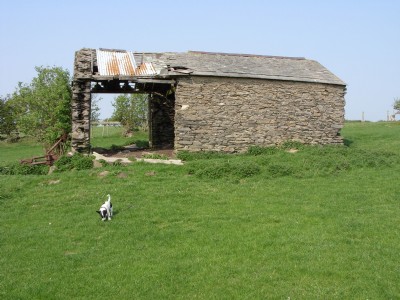 Historic Photographs Of Lindal Moor