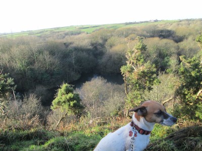 Photographs Of Lindal Moor