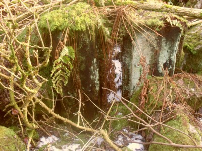 Photographs Of Lindal Moor