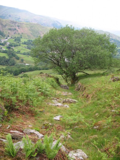Lingmoor Quarries (Photo ref 18202)