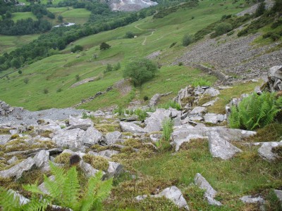 Lingmoor Quarries (Photo ref 18203)