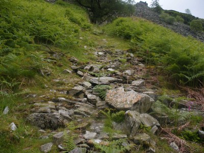 Incline - looking up