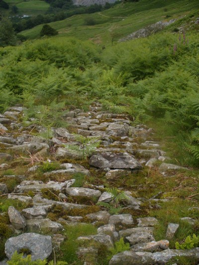 Photographs Of Lingmoor