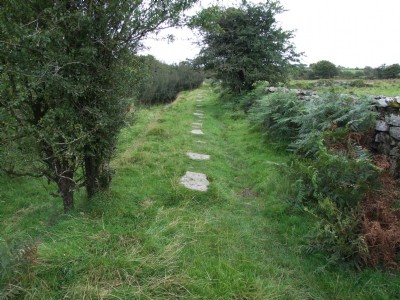 The Liskeard and Caradon Railway.