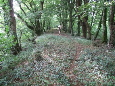 Liskeard & Caradon Railway