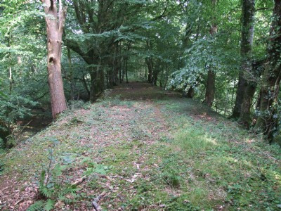 Liskeard & Caradon Railway