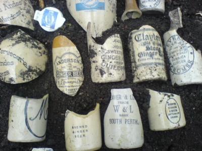 Bottles at off the Denby Pottery Tips at side of Route - May 08
