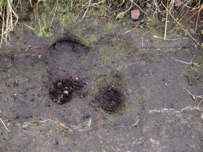 Imprint left by Plate ends moving around, Openwoodgatye Incline May 08