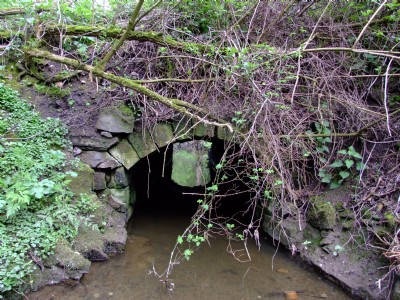Bassett Pit branch Bridge - May 08