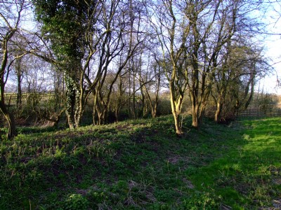 27.03.09 LE & D Gangroad - Nice original bridge and trackbed