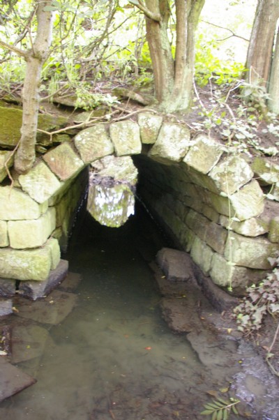 'Park Hall Bridge' to Henmoor (North Side)