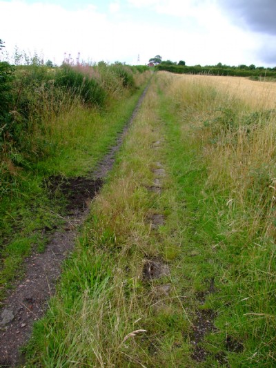 25.07.09  Openwood Gate incline