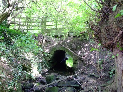 25.07.09 Parkhall bridge on Henmoor route