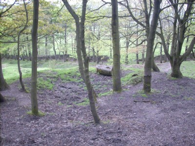 Photographs Of Little Pasture