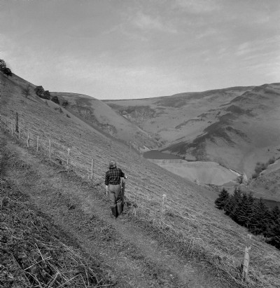 Historic Photographs Of Llanerchyraur