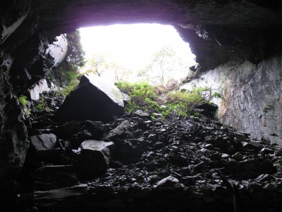 Window
